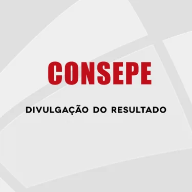 Representantes eleitos para o Conselho de Ensino, Pesquisa e Extenso