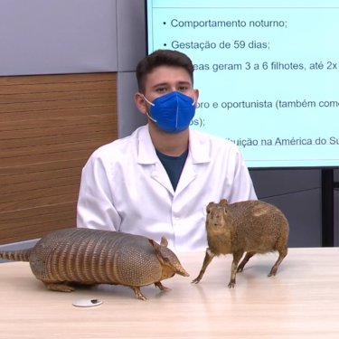 Projeto “Zoobotânico On Demand” cria videoaulas para auxílio pedagógico nas escolas
