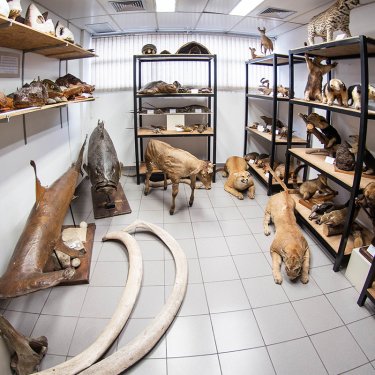 Inscri��es abertas para visitas escolares no Laborat�rio Zoobot�nico