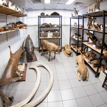 Inscries abertas para visitas escolares no Laboratrio Zoobotnico