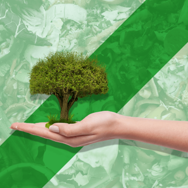 Oficina gratuita de Compostagem e Sustentabilidade será no dia 19 de novembro