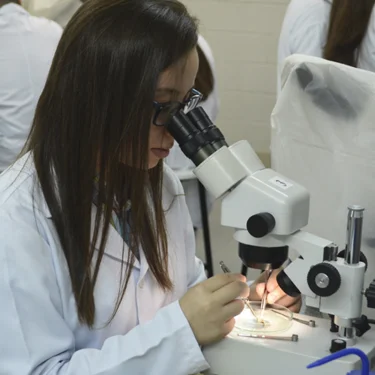 Sucesso na Jornada de Cincias Biolgicas da USC