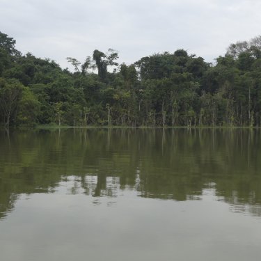 Professores encontram nova esp�cie de parasito no rio Batalha