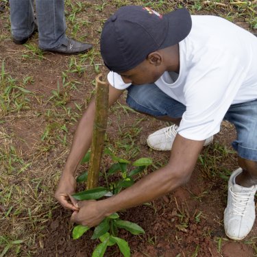 Grupo de Ecologia Vegetal Aplicada (GEVA) j� prepara a quinta edi��o do Plantando Sorrisos