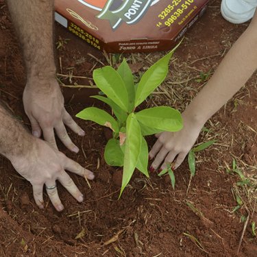 Autismo foi o tema da 6ª edição do Plantando Sorrisos