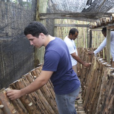 Projeto de extens�o promove a��o no CPP �Prof. No� de Azevedo�