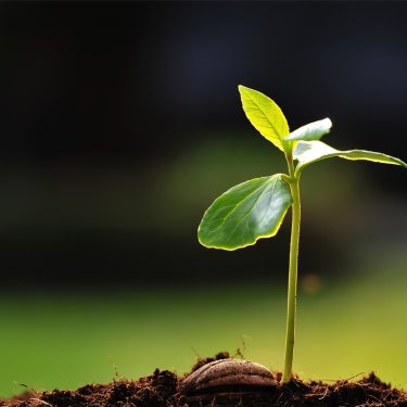 Projeto de Extens�o RP Comunica lan�a nova s�rie no Youtube