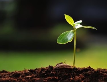 USC conta com Plano de Gestão de Logística Sustentável 