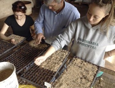 Grupo GEVA da USC inicia experimentos com mudas nativas