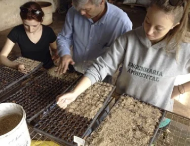 Grupo GEVA da USC inicia experimentos com mudas nativas