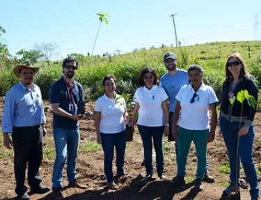 USC realiza ao em comemorao ao Dia da rvore