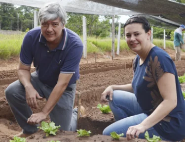 Projeto desenvolvido no Mestrado da USC defende uso de fertilizao orgnica