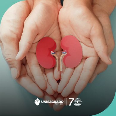 Exercicio f�sico, doen�a renal e sarcopenia:<br>conceitos, epidemiologia e conex�es
