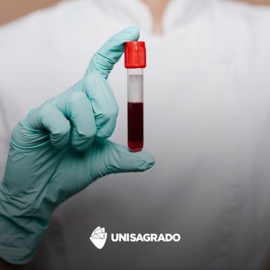 Campanha de Doação de Sangue (2º semestre de 2024)