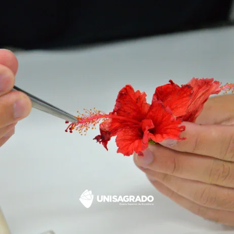 Aula prtica sobre reproduo sexuada e assexuada | 06/11