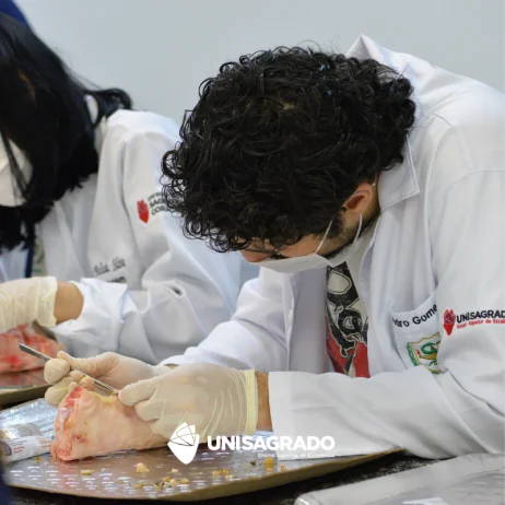 Aula prtica de desbridamento de feridas 28/04